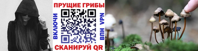 Галлюциногенные грибы Magic Shrooms  купить  цена  Бодайбо 